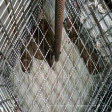 Metal mink cage / galvanized iron welded wire mesh / the chicken cages(manufacturer in china)